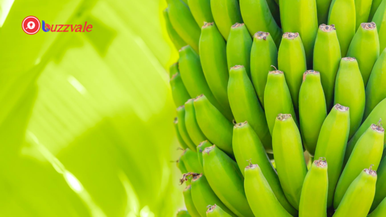 How to Start Making Cool Money from Plantain Farming
