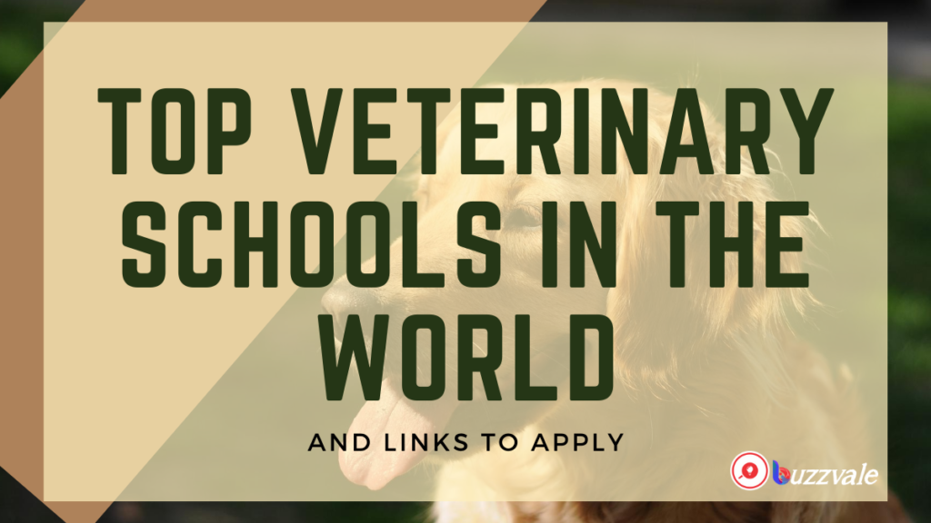 top veterinary schools in the world 2